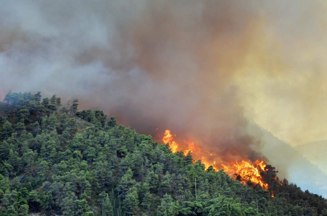 Applicazione delle misure di prevenzione rischio incendi boschivi in vista del periodo di massima pericolosit per gli incendi boschivi.