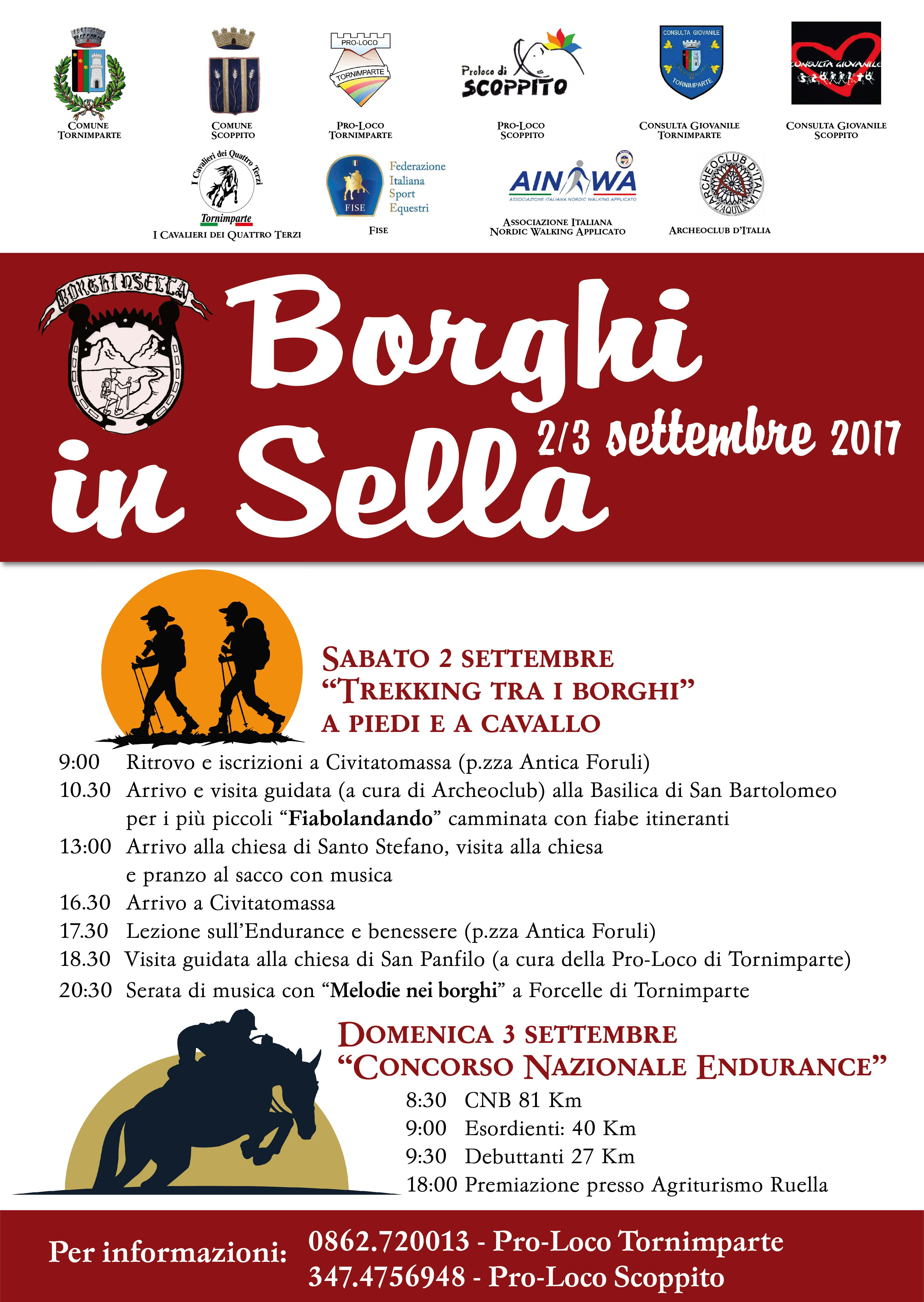  Borghinsella